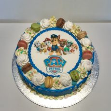 PAW Patrol themed birthday cake